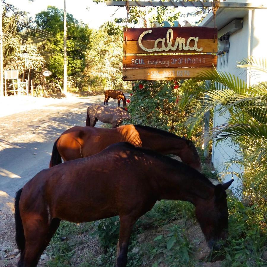 Calma Apartments Costa Rica Malpais Exterior photo